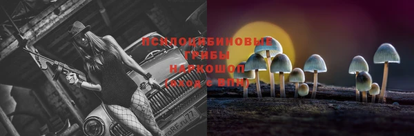 соль курить ск Аркадак