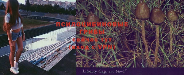 соль курить ск Аркадак